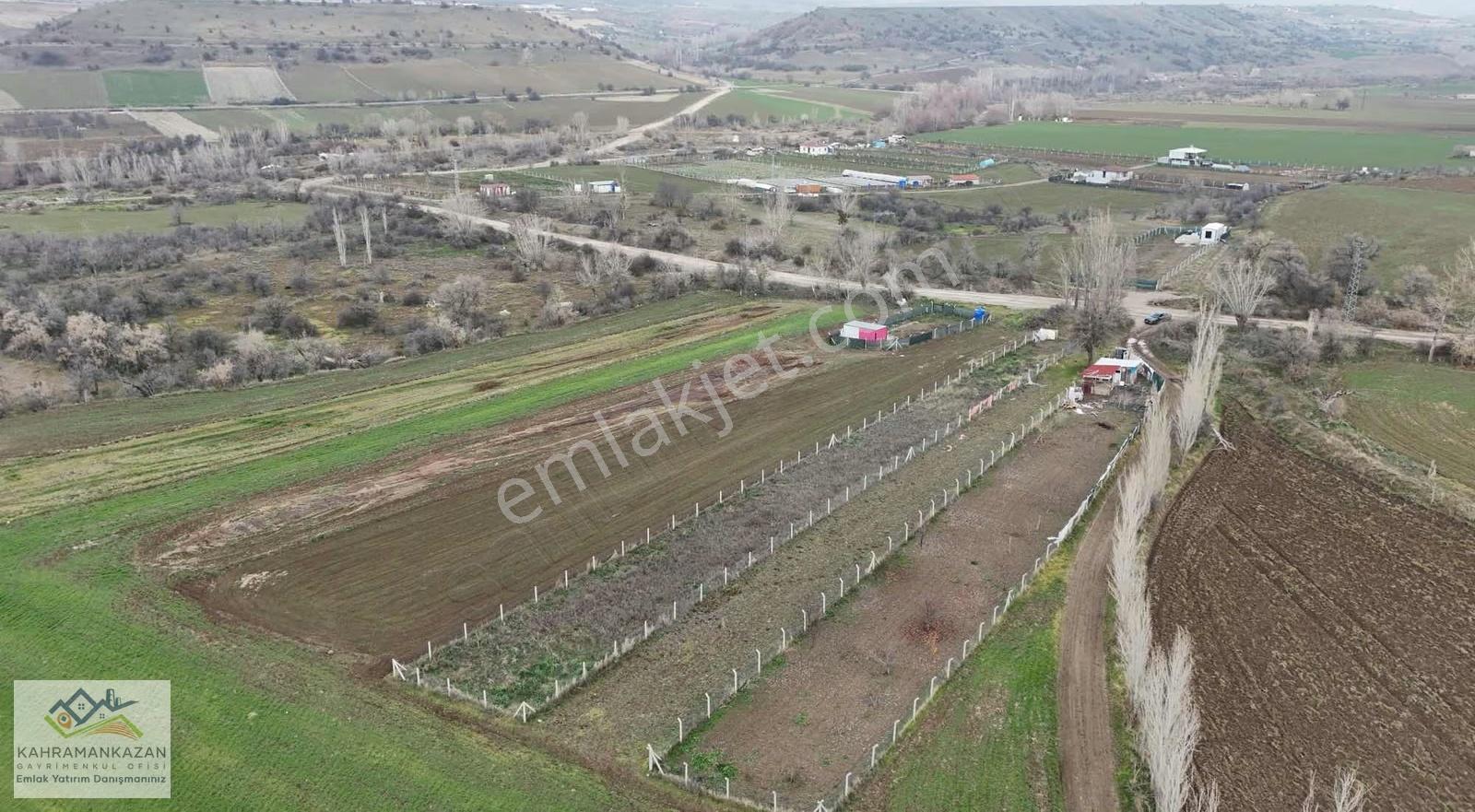 K.kazangyo'dan Satılık Peçenekte Telle Çevrili Bahçe - Görsel 8