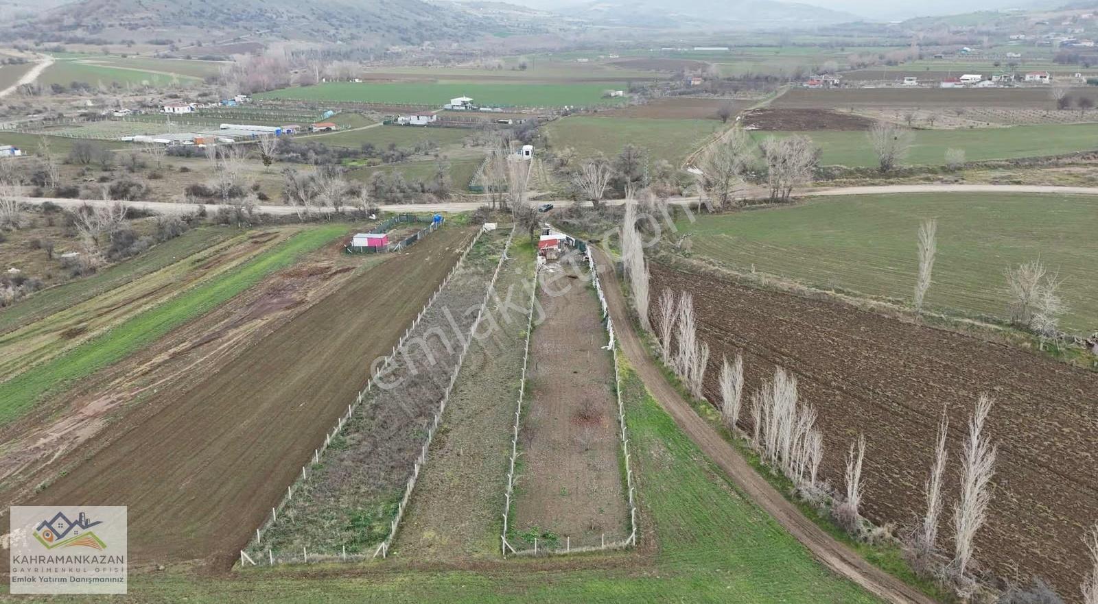 K.kazangyo'dan Satılık Peçenekte Telle Çevrili Bahçe - Görsel 6