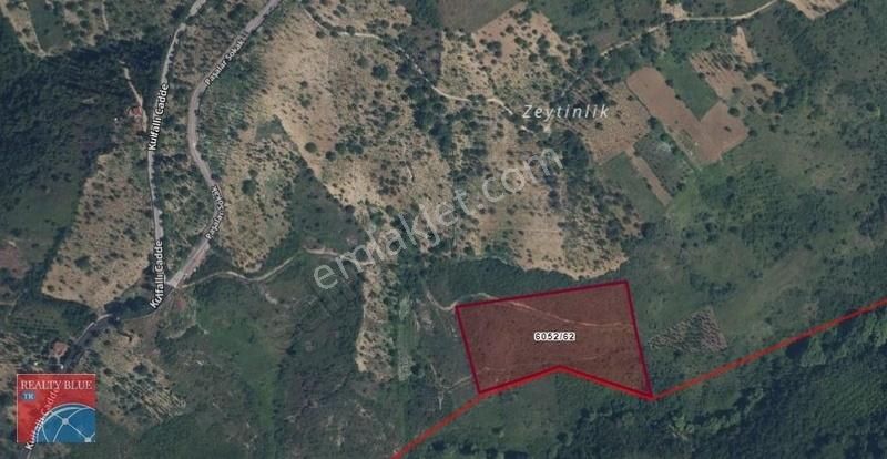 İzmit Kulfallı'da İmar Sınırında Arsa Hissesi - Görsel 8
