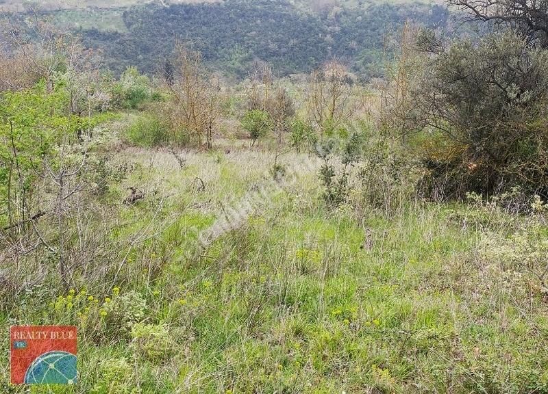 İzmit Kulfallı'da İmar Sınırında Arsa Hissesi - Görsel 12