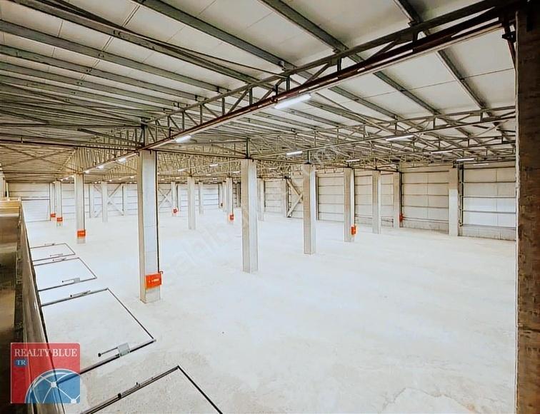 Düzce Merkez Satılık Osb İçerisinde 17.500 M2 Depo & Fabrika - Görsel 9