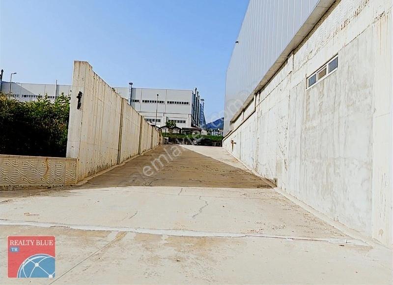 Düzce Merkez Satılık Osb İçerisinde 17.500 M2 Depo & Fabrika - Görsel 16