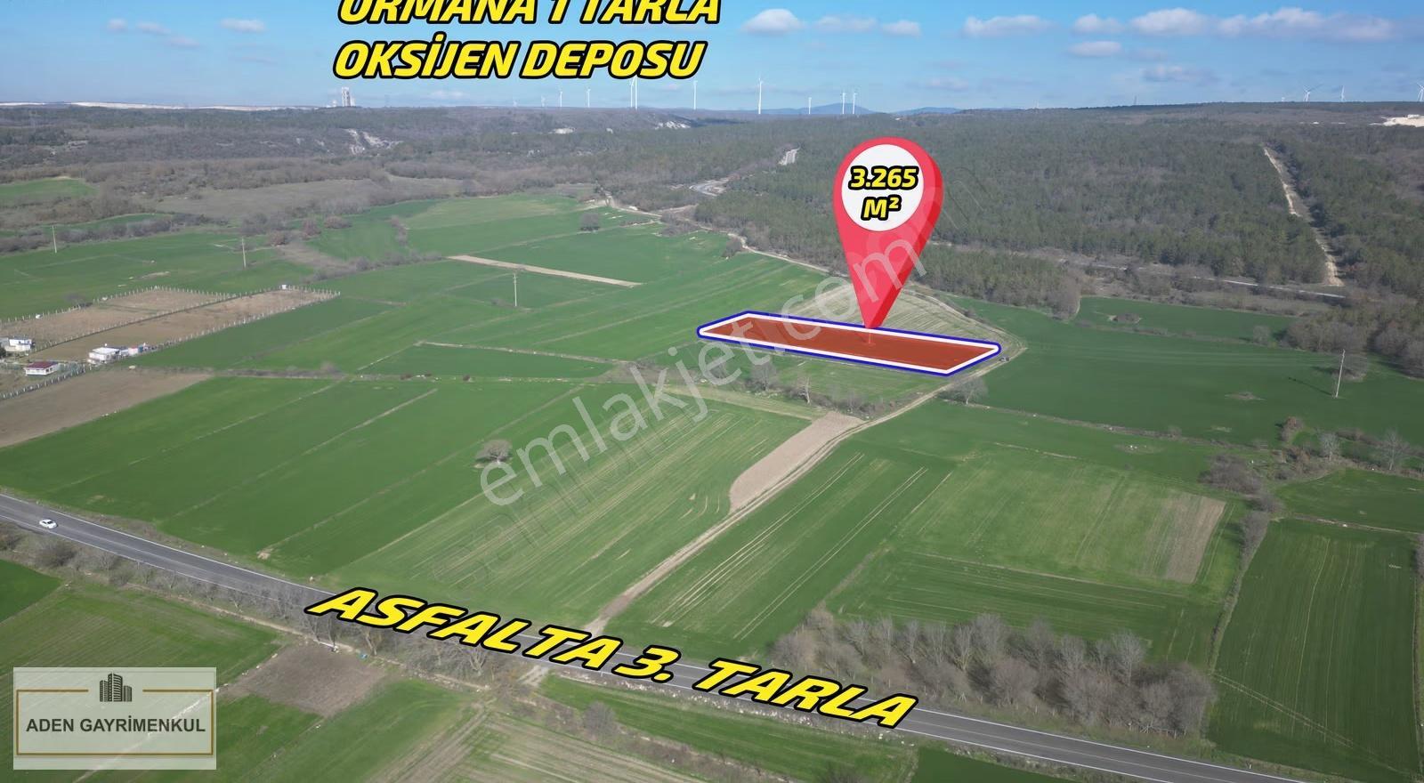 Kırklareli Vize Pazarlı 3.265 M² Tarla Satılık Tarla - Görsel 5