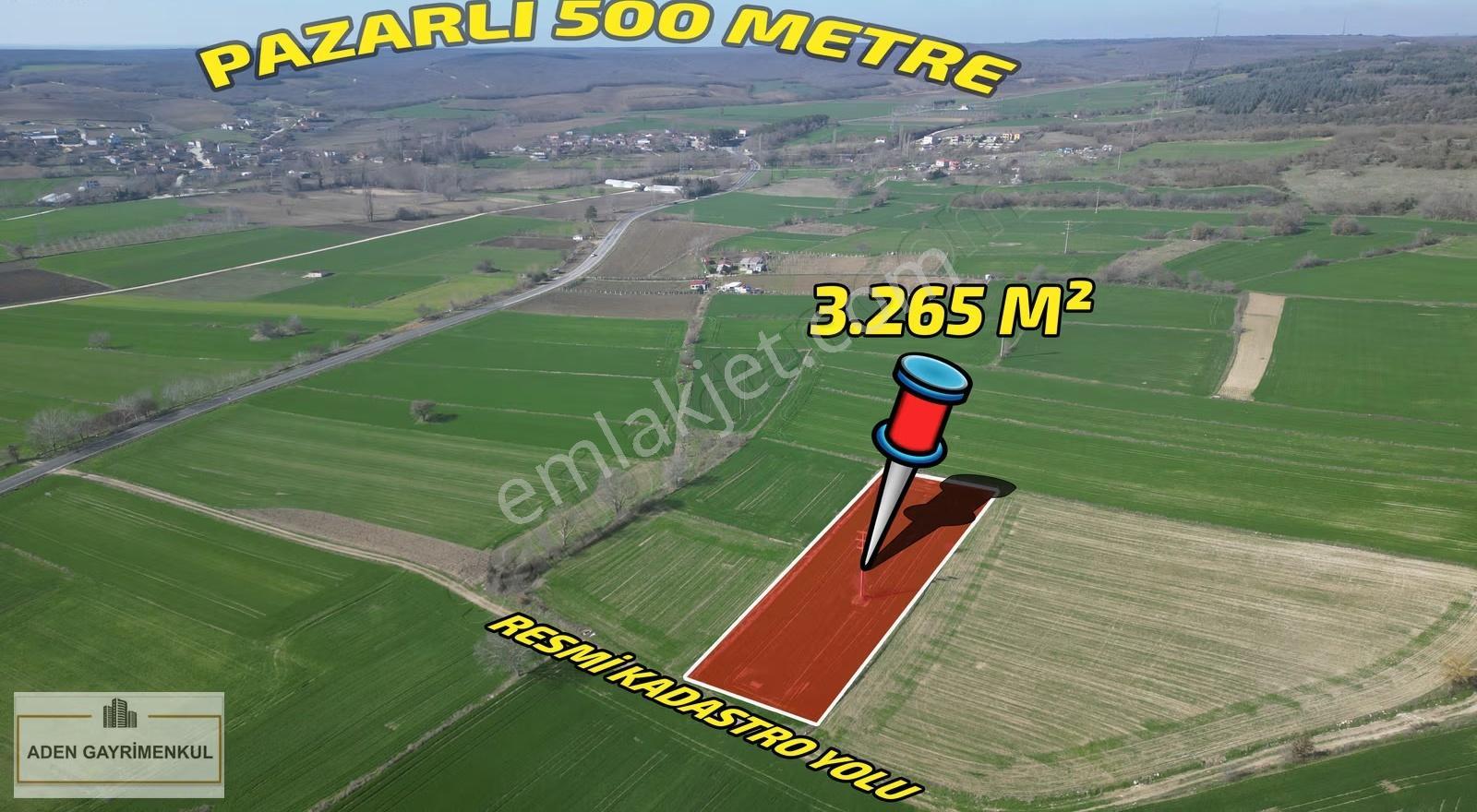 Kırklareli Vize Pazarlı 3.265 M² Tarla Satılık Tarla - Görsel 14