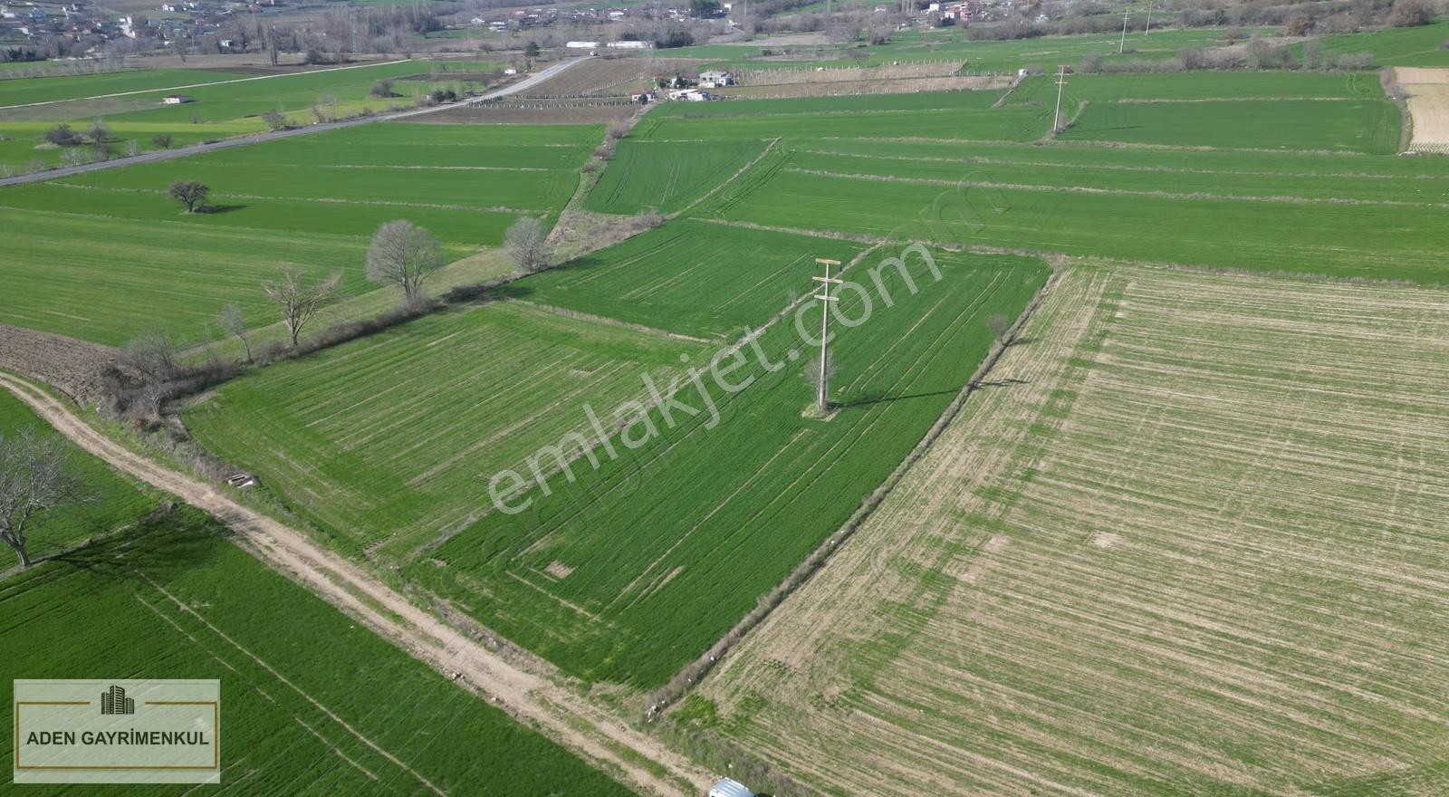 Kırklareli Vize Pazarlı 3.265 M² Tarla Satılık Tarla - Görsel 19