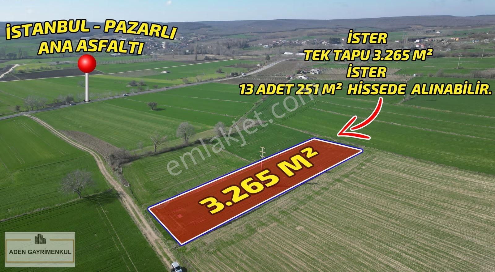 Kırklareli Vize Pazarlı 3.265 M² Tarla Satılık Tarla - Görsel 2