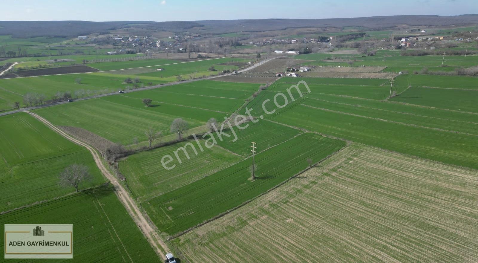 Kırklareli Vize Pazarlı 3.265 M² Tarla Satılık Tarla - Görsel 22