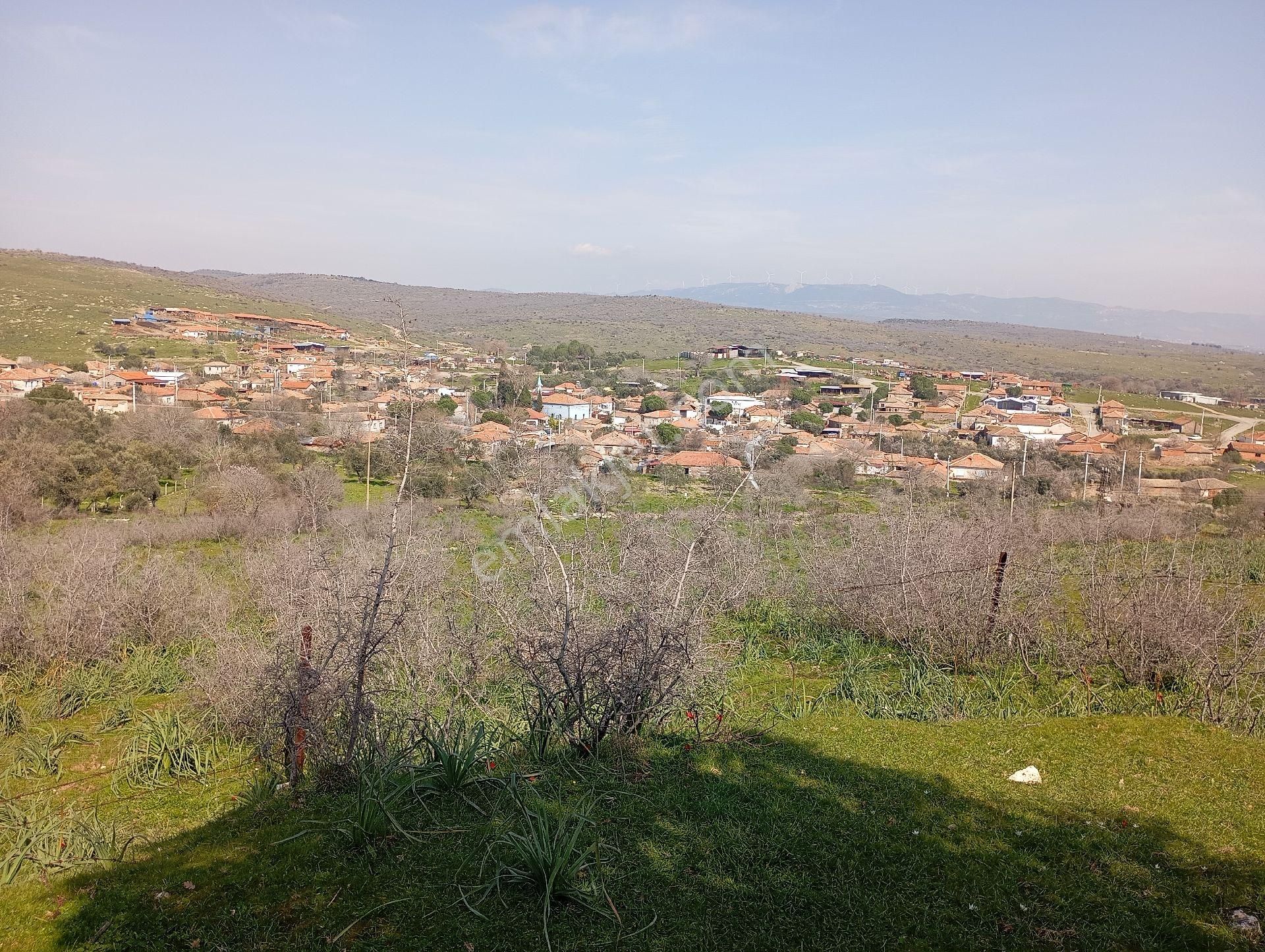 Elit Emlaktan Bergama Ferizlerde Yatırımlık Zeytinlik - Görsel 3