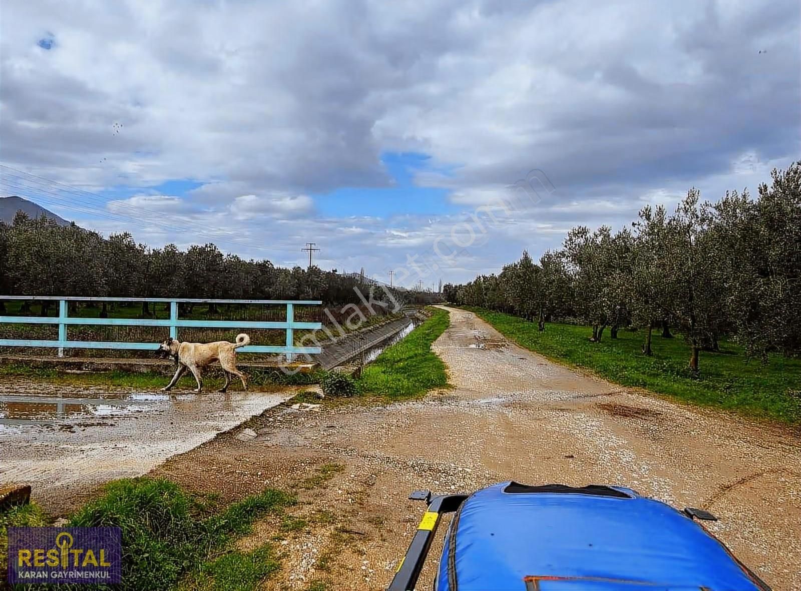 Obi Bahçesi Fırsat Gayrımenkul