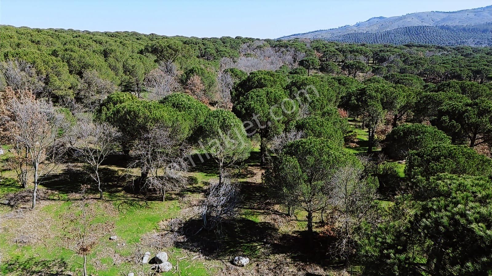 Bergama Kozak Karaveliler Mah'de 24.500m2 Satılık Tarla - Görsel 16