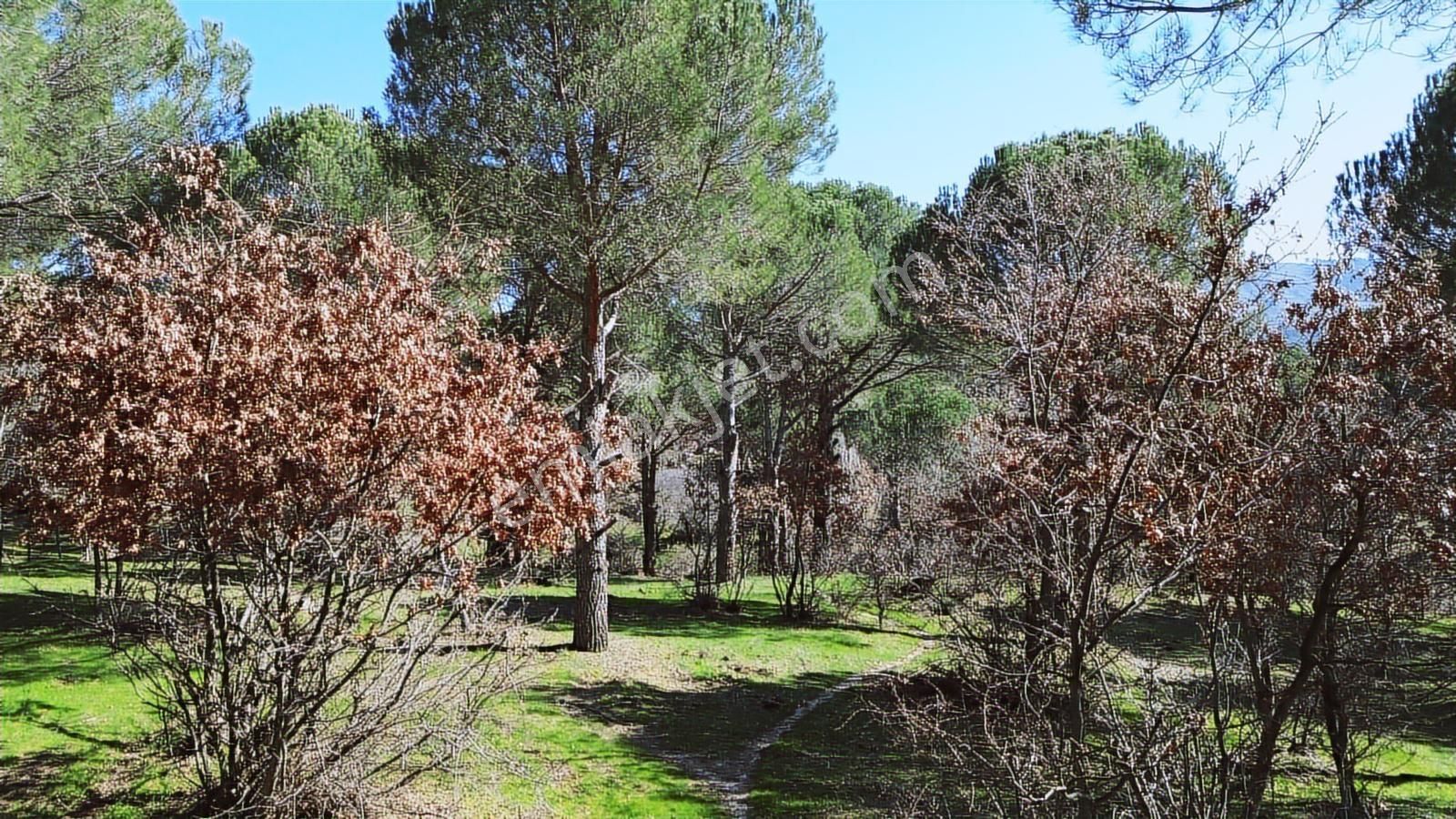 Bergama Kozak Karaveliler Mah'de 24.500m2 Satılık Tarla - Görsel 10