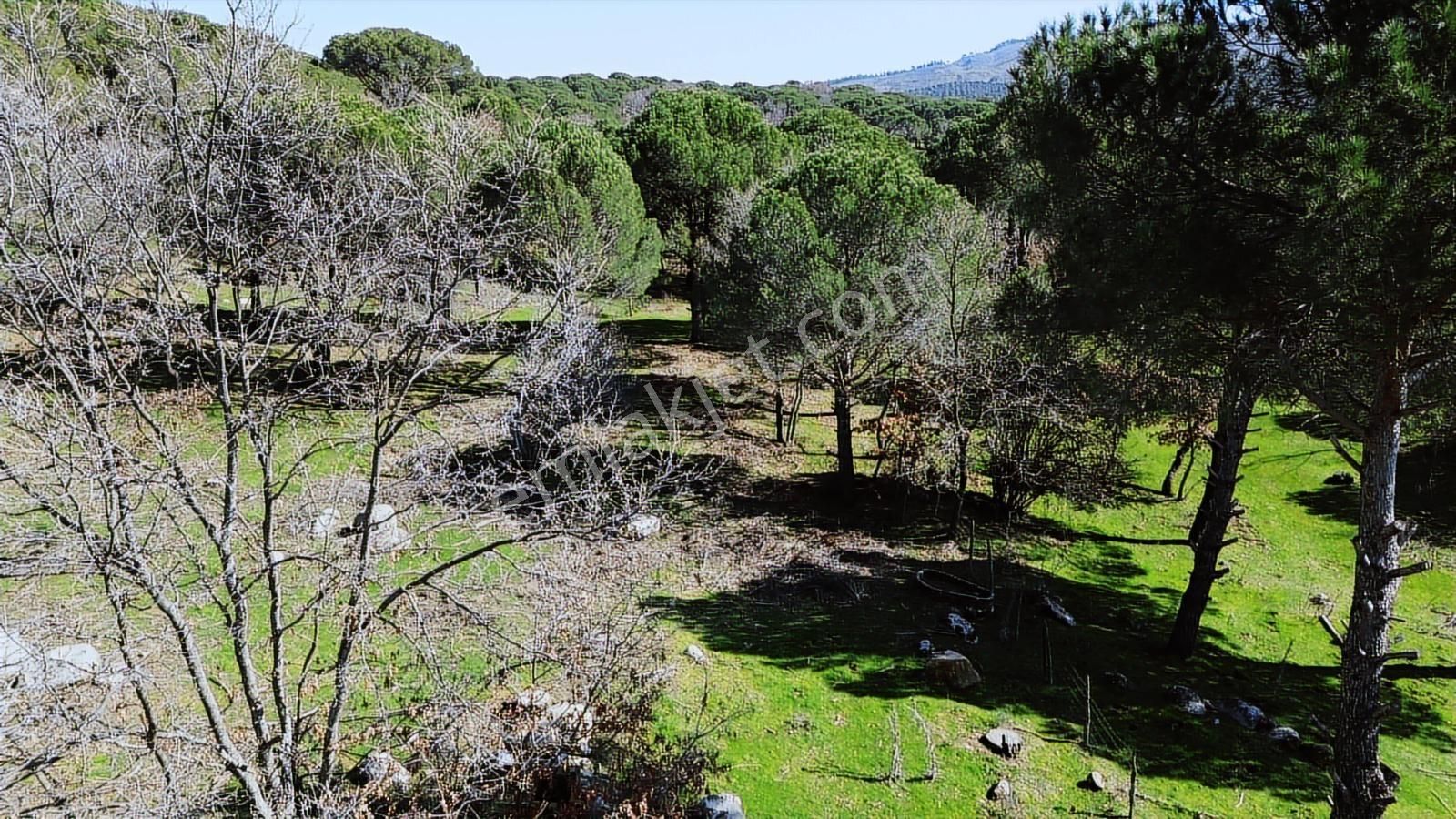 Bergama Kozak Karaveliler Mah'de 24.500m2 Satılık Tarla - Görsel 3