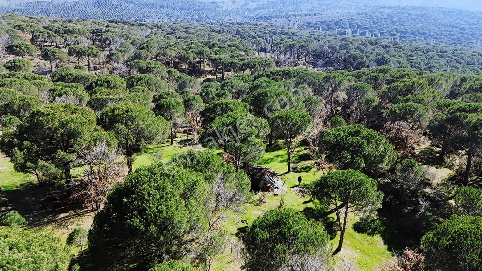 Bergama Kozak Karaveliler Mah'de 24.500m2 Satılık Tarla - Görsel 33