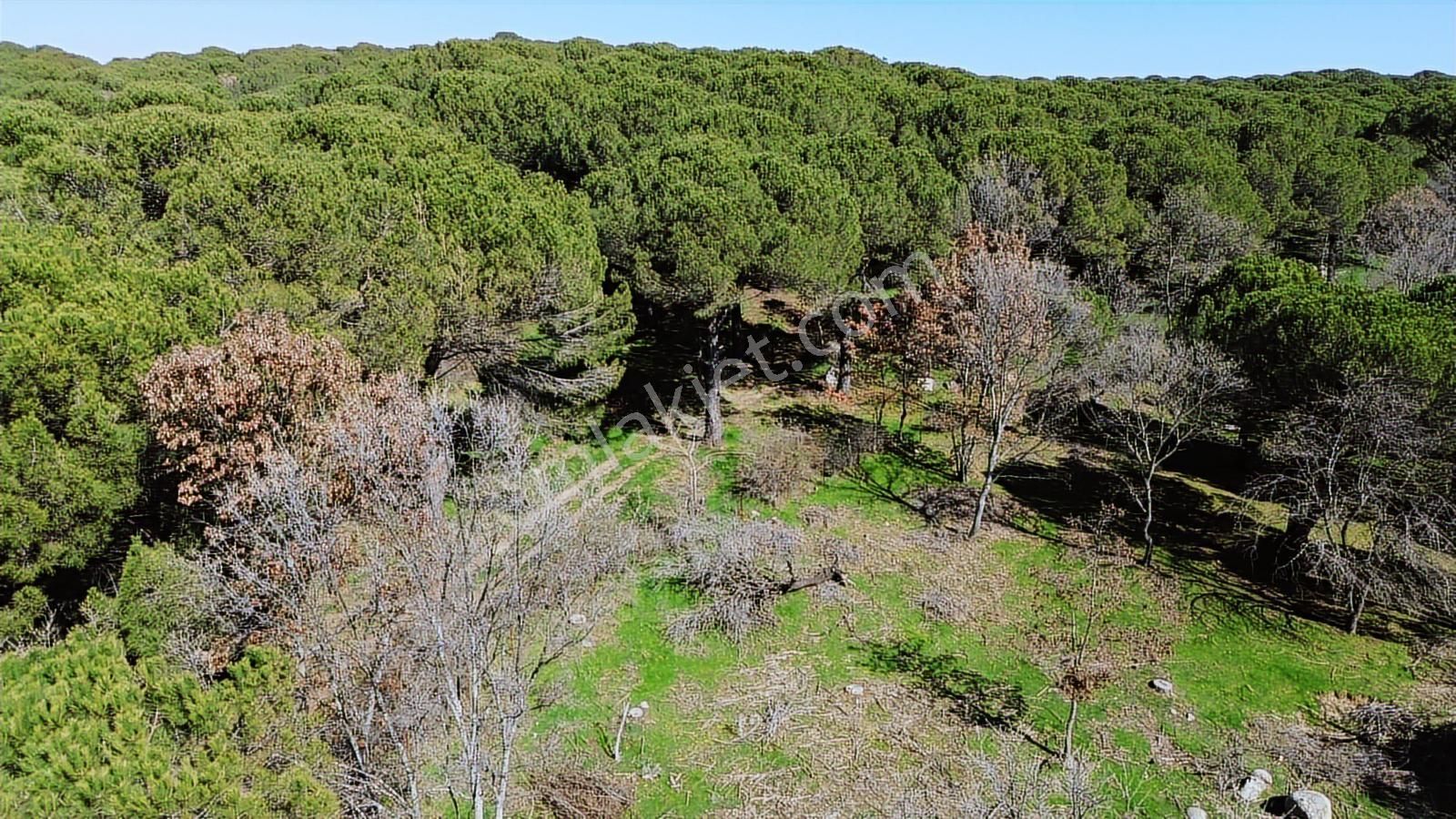 Bergama Kozak Karaveliler Mah'de 24.500m2 Satılık Tarla - Görsel 13