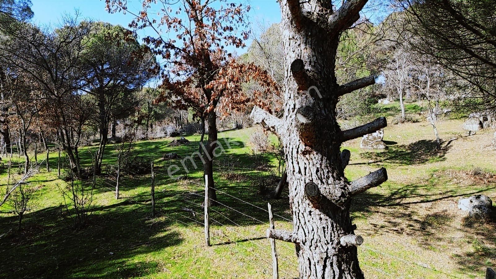 Bergama Kozak Karaveliler Mah'de 24.500m2 Satılık Tarla - Görsel 19