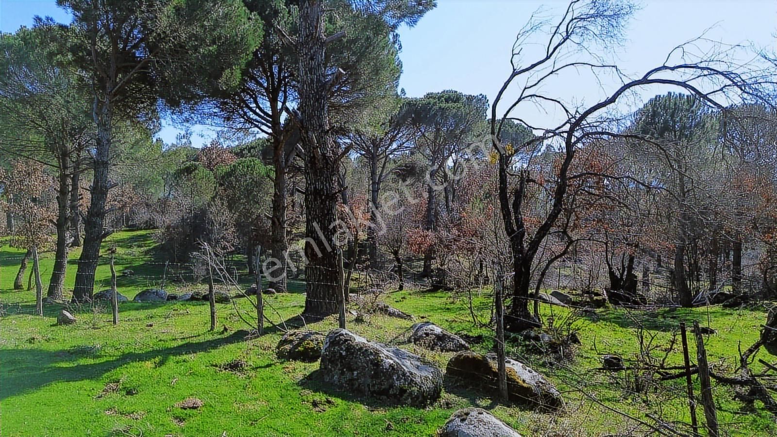 Bergama Kozak Karaveliler Mah'de 24.500m2 Satılık Tarla - Görsel 34