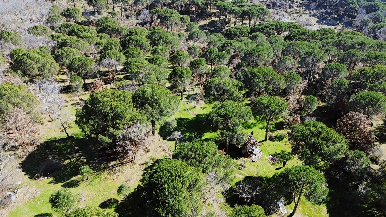 Bergama Kozak Karaveliler Mah'de 24.500m2 Satılık Tarla - Görsel 35