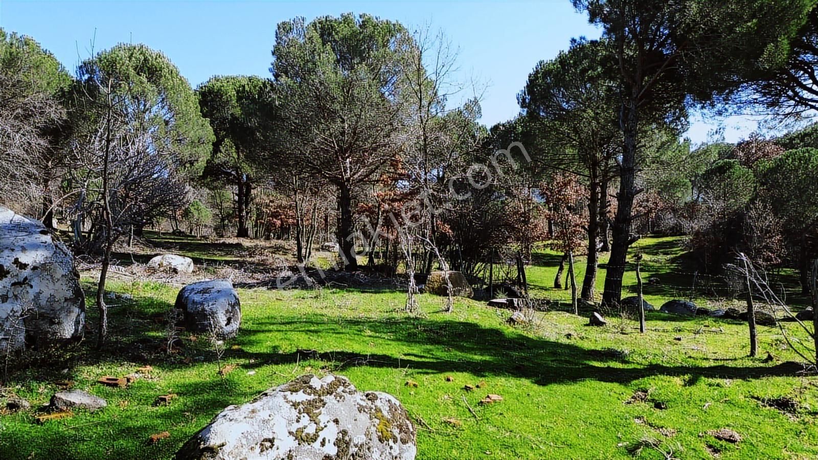 Bergama Kozak Karaveliler Mah'de 24.500m2 Satılık Tarla - Görsel 8