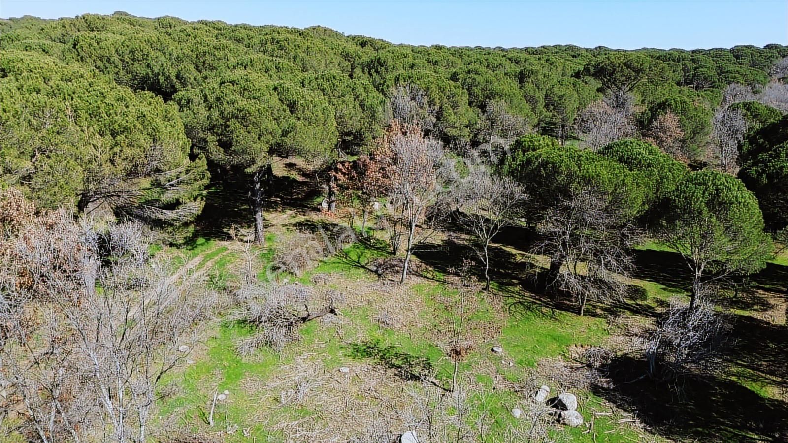 Bergama Kozak Karaveliler Mah'de 24.500m2 Satılık Tarla - Görsel 14