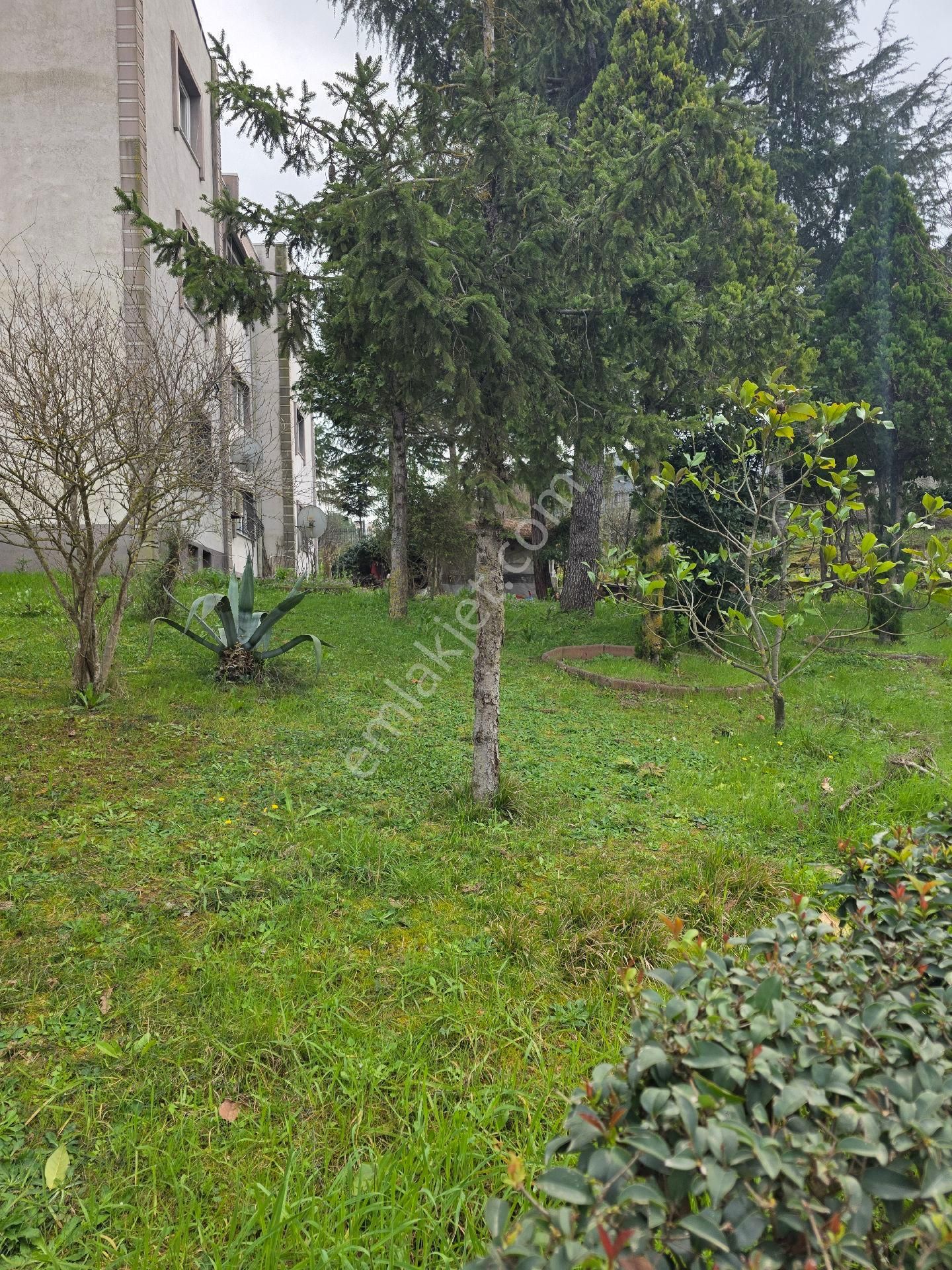 Sakarya Adapazarı Kalıcı Konutlar Camili Bölgesinde Eşyalı Kiralık Daire - Görsel 4