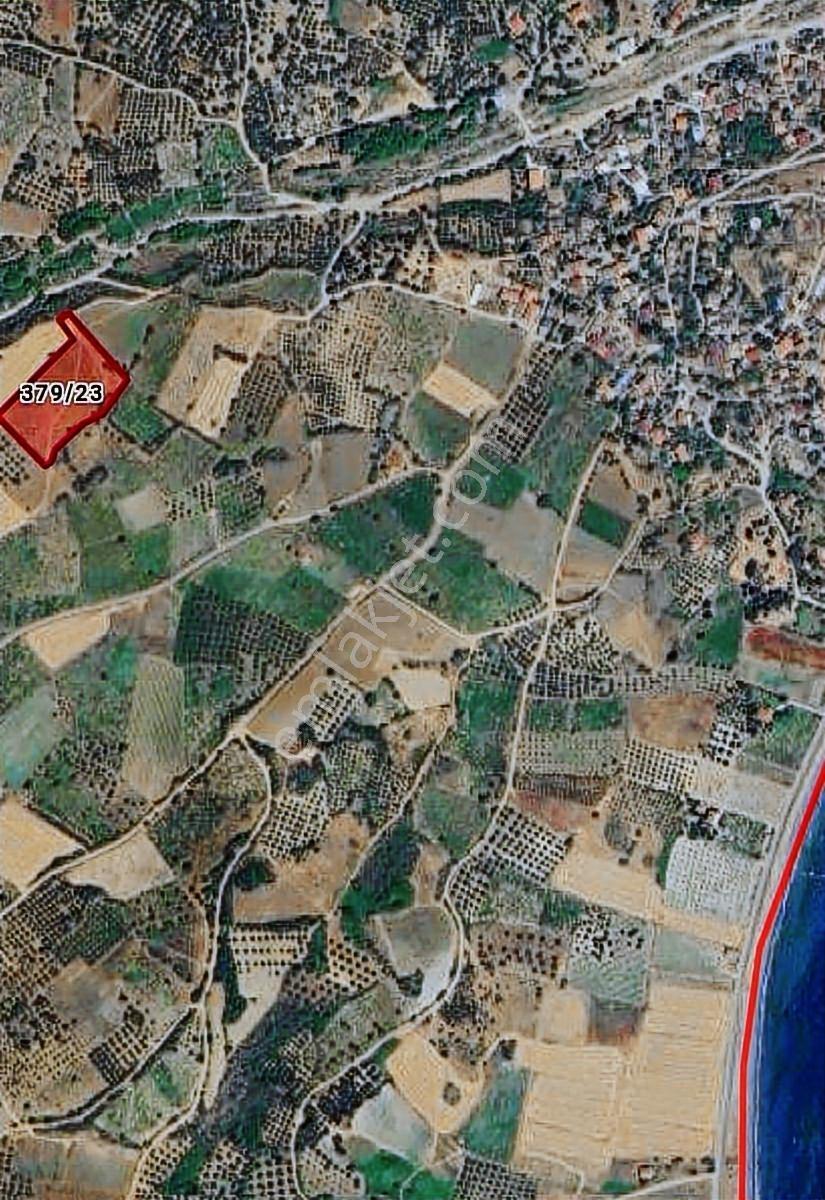 Şarköy Gaziköy Full Deniz Manzaralı İmarda Sorunsuz 1100 M2 - Görsel 4