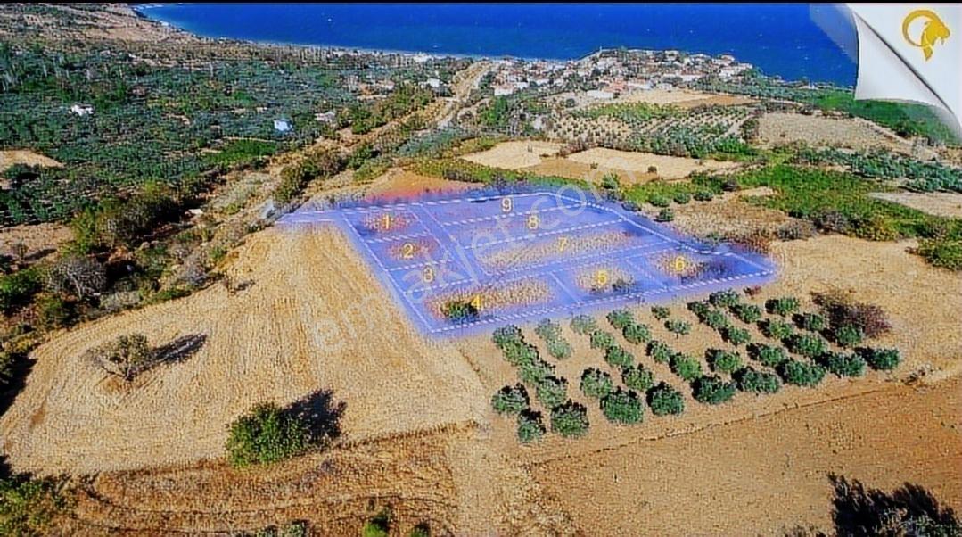 Şarköy Gaziköy Full Deniz Manzaralı İmarda Sorunsuz 1100 M2 - Görsel 2