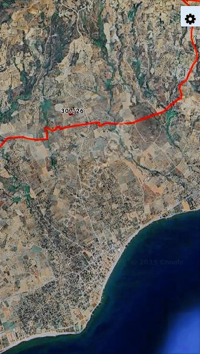 Şarköy Eriklice Tepeköy'de Zeytinlik Bağ Full Deniz Manzaralı. - Görsel 3