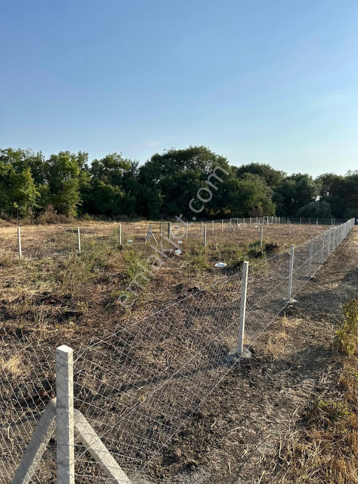 Kırklareli Düğüncübaşı 390m2 Çaplı Muvafakatnameli Kupon Arsa - Görsel 5