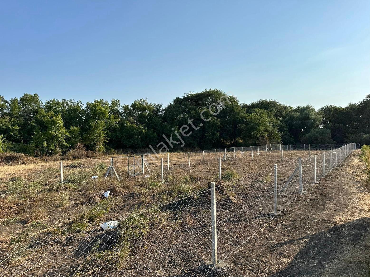 Kırklareli Düğüncübaşı 390m2 Çaplı Muvafakatnameli Kupon Arsa - Görsel 7