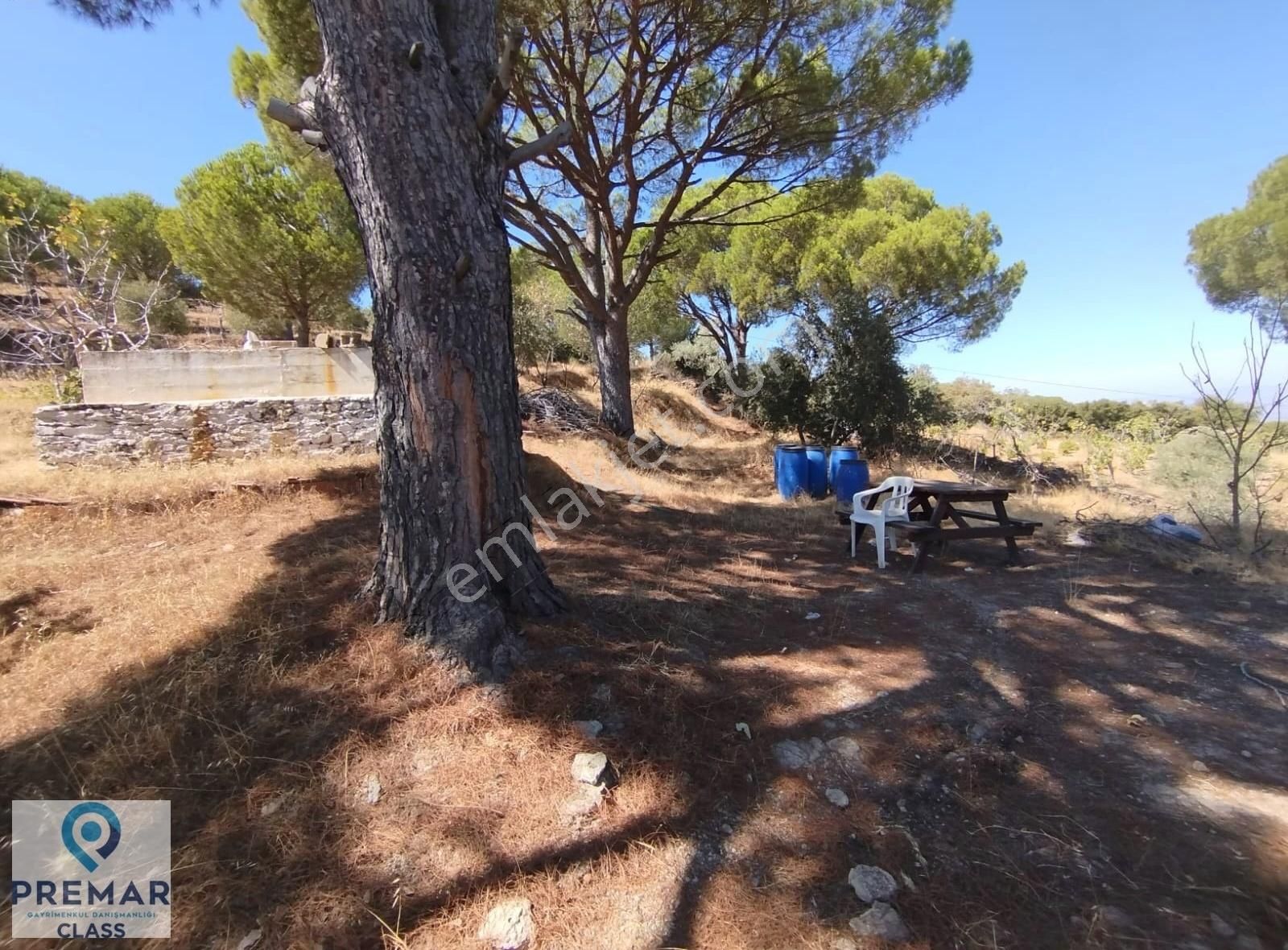 Koçarlı Çulhalar Da Anayola Sıfır Satılık İncir Bahçesi - Görsel 22