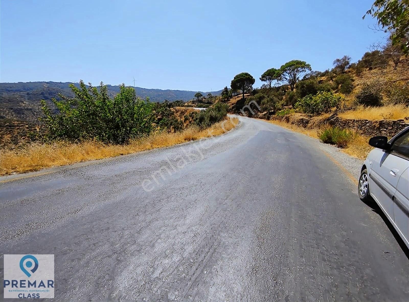 Koçarlı Çulhalar Da Anayola Sıfır Satılık İncir Bahçesi - Görsel 15