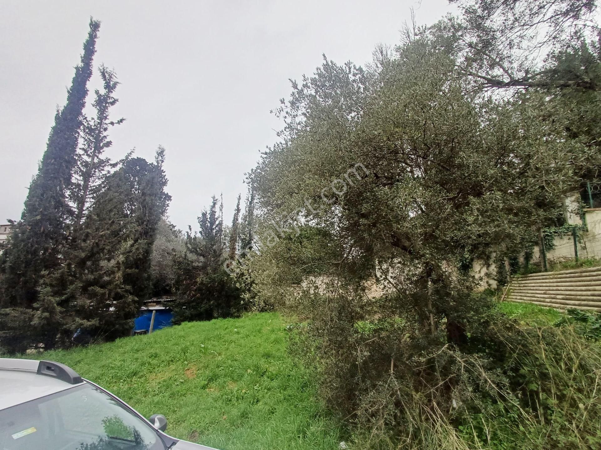 Mertcan Dan Çarşı Mah 205m2 Fırsat Satılık Arsa - Görsel 3