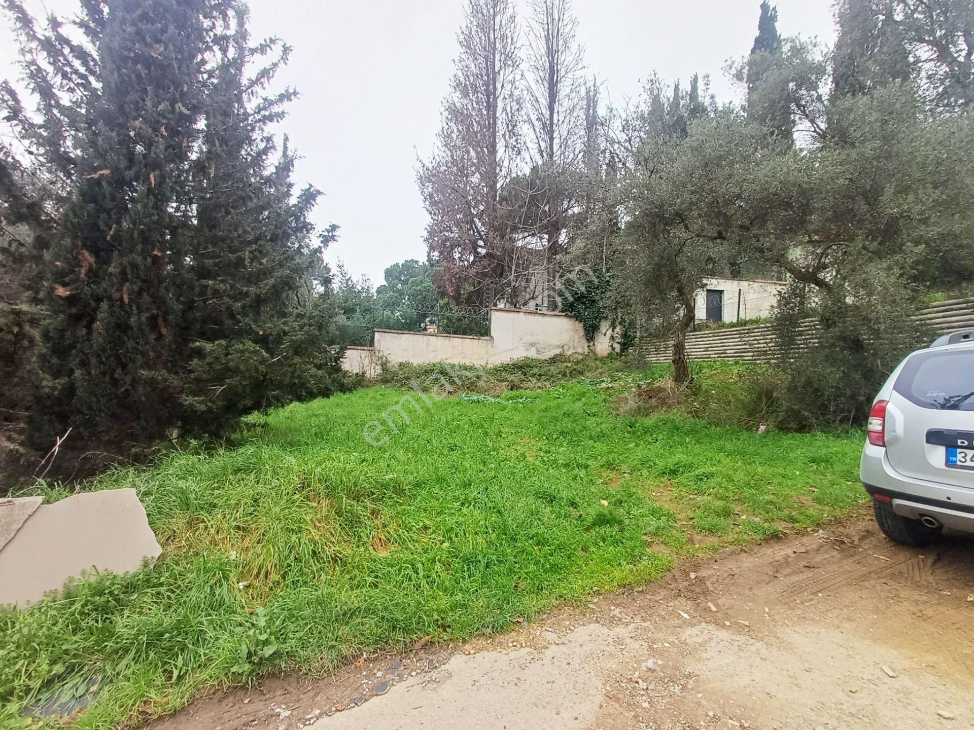 Mertcan Dan Çarşı Mah 205m2 Fırsat Satılık Arsa