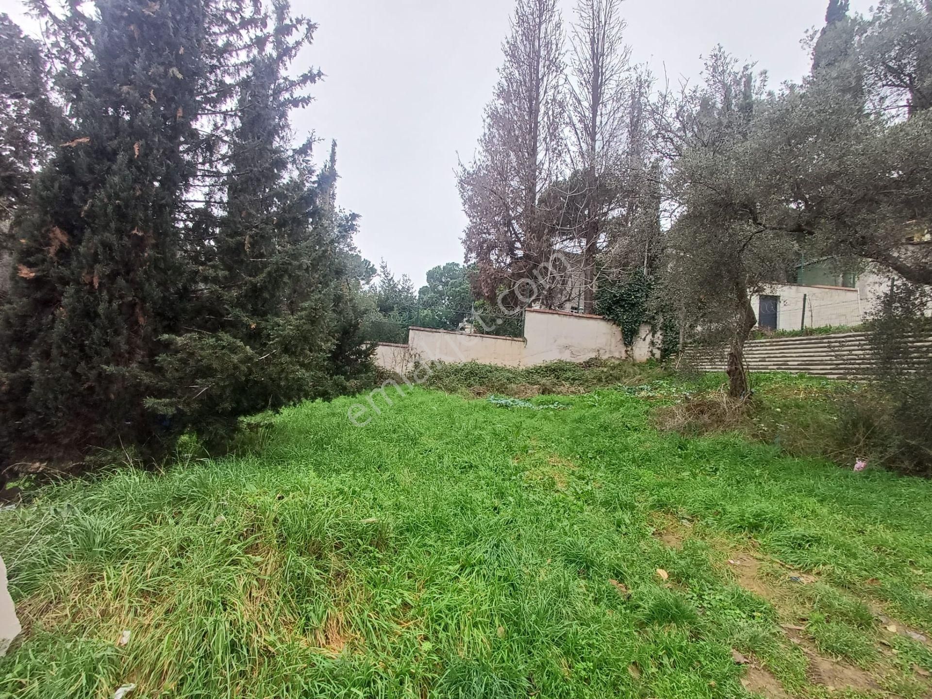 Mertcan Dan Çarşı Mah 205m2 Fırsat Satılık Arsa - Görsel 4