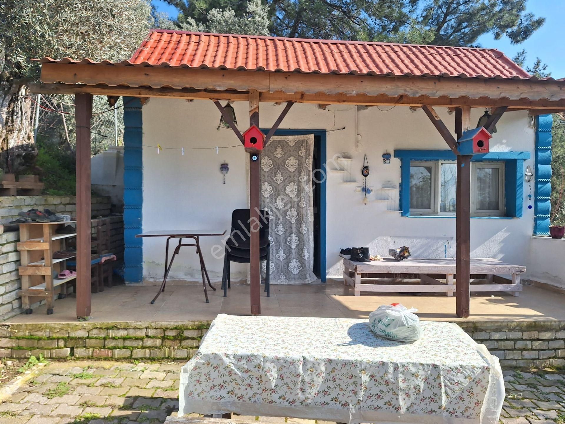 Sahibinden Yolu Elektirigi Olan Tarla - Görsel 2