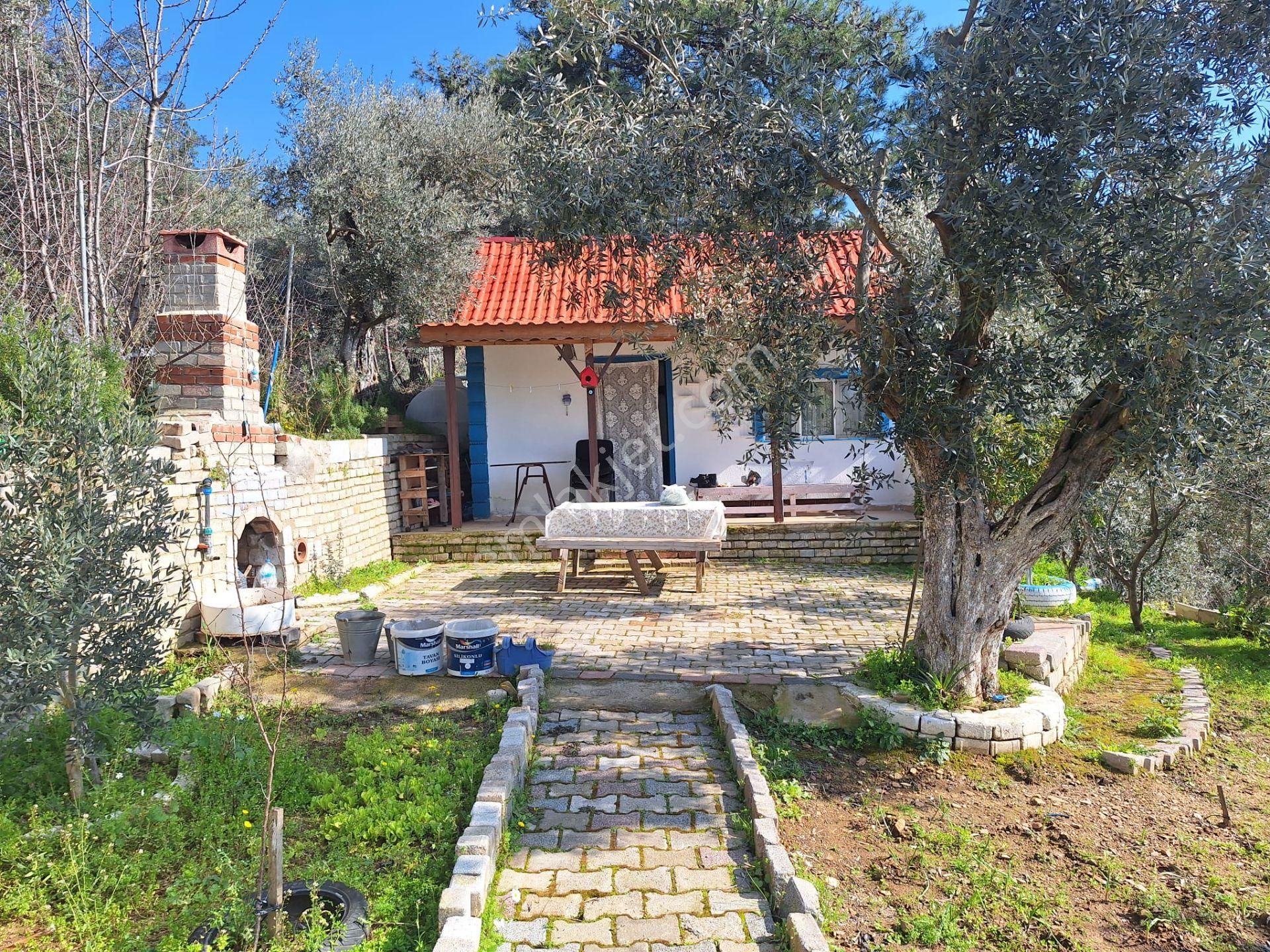 Sahibinden Yolu Elektirigi Olan Tarla - Görsel 4