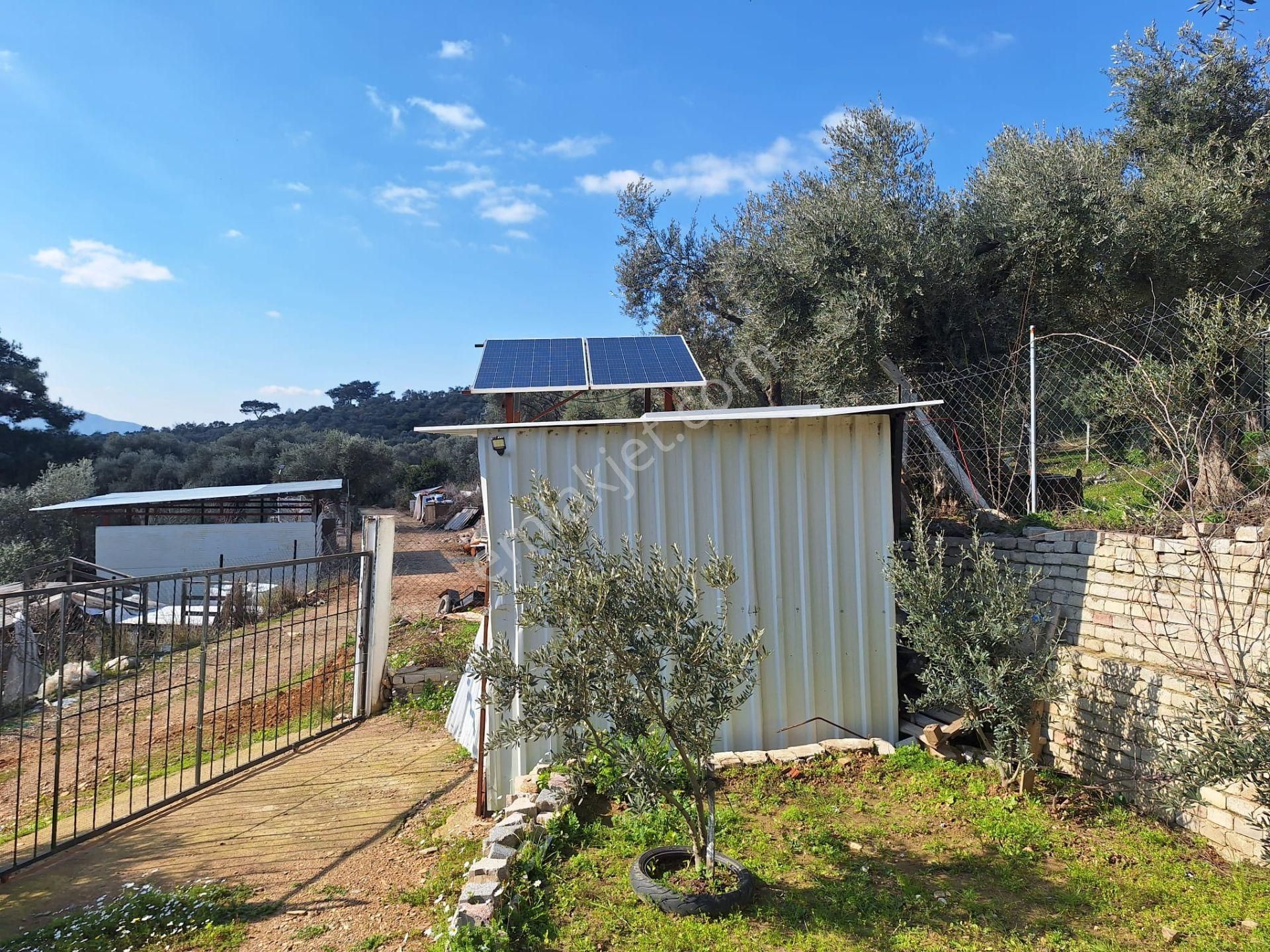 Sahibinden Yolu Elektirigi Olan Tarla - Görsel 15