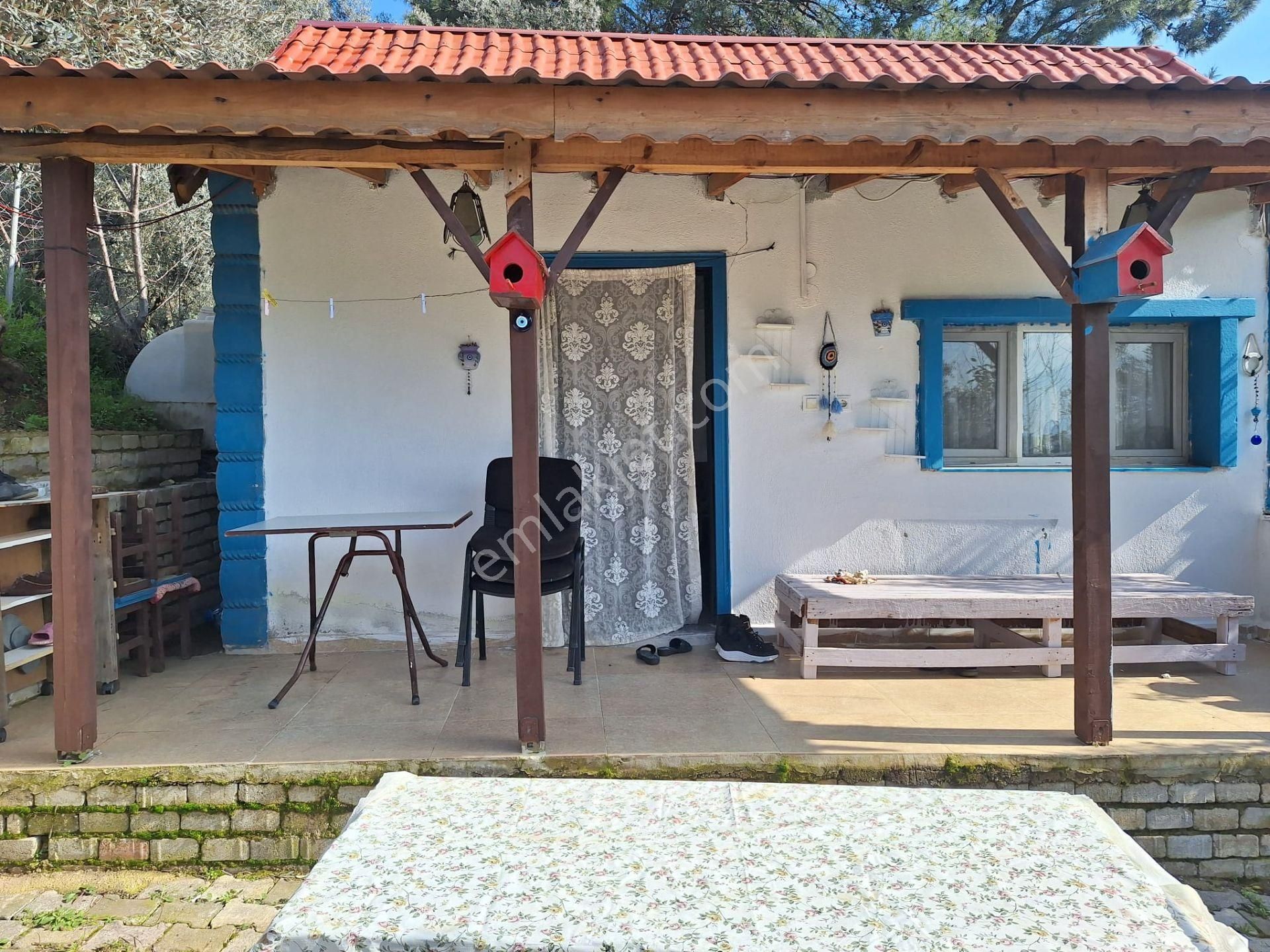 Sahibinden Yolu Elektirigi Olan Tarla