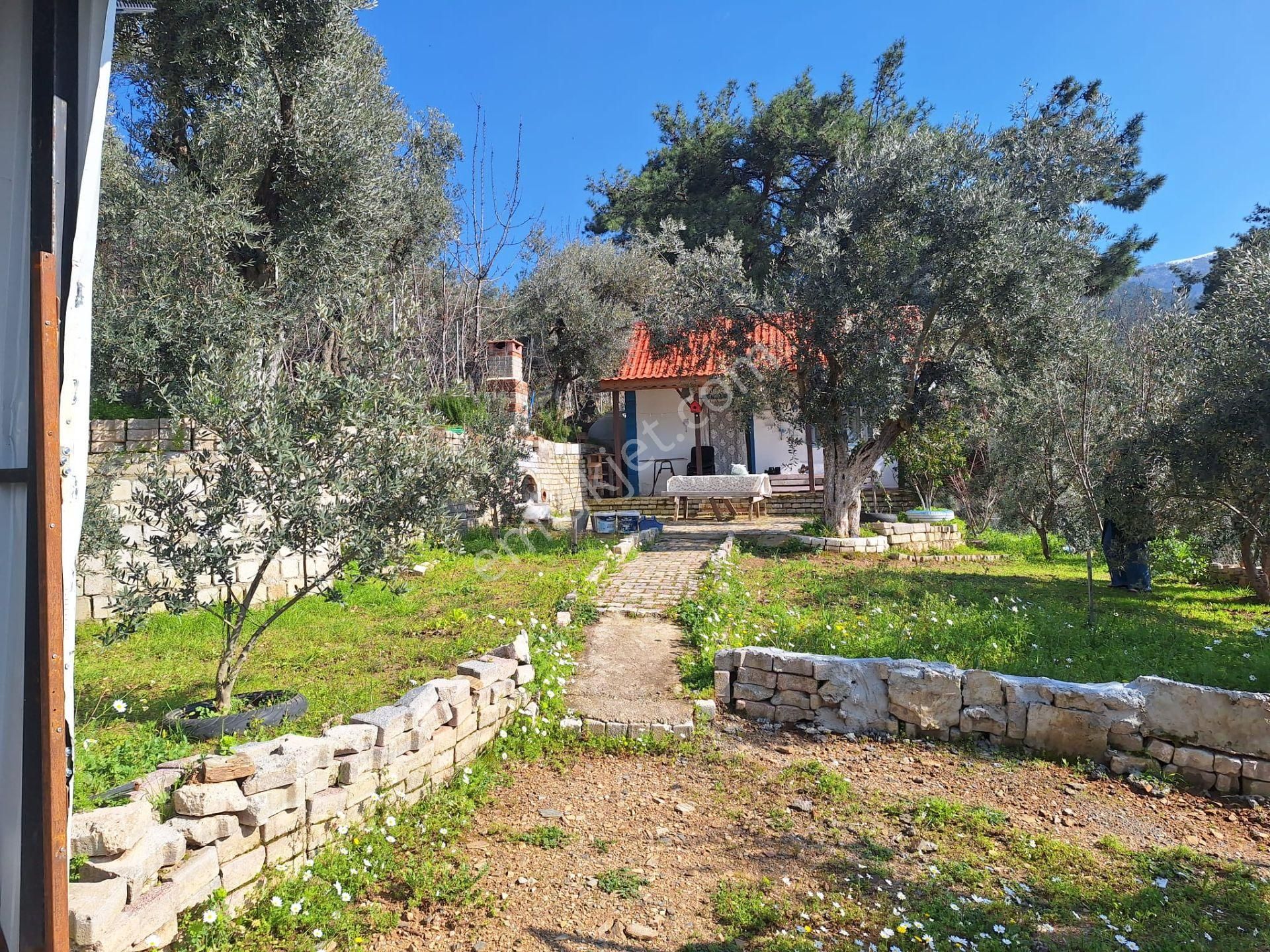 Sahibinden Yolu Elektirigi Olan Tarla - Görsel 3