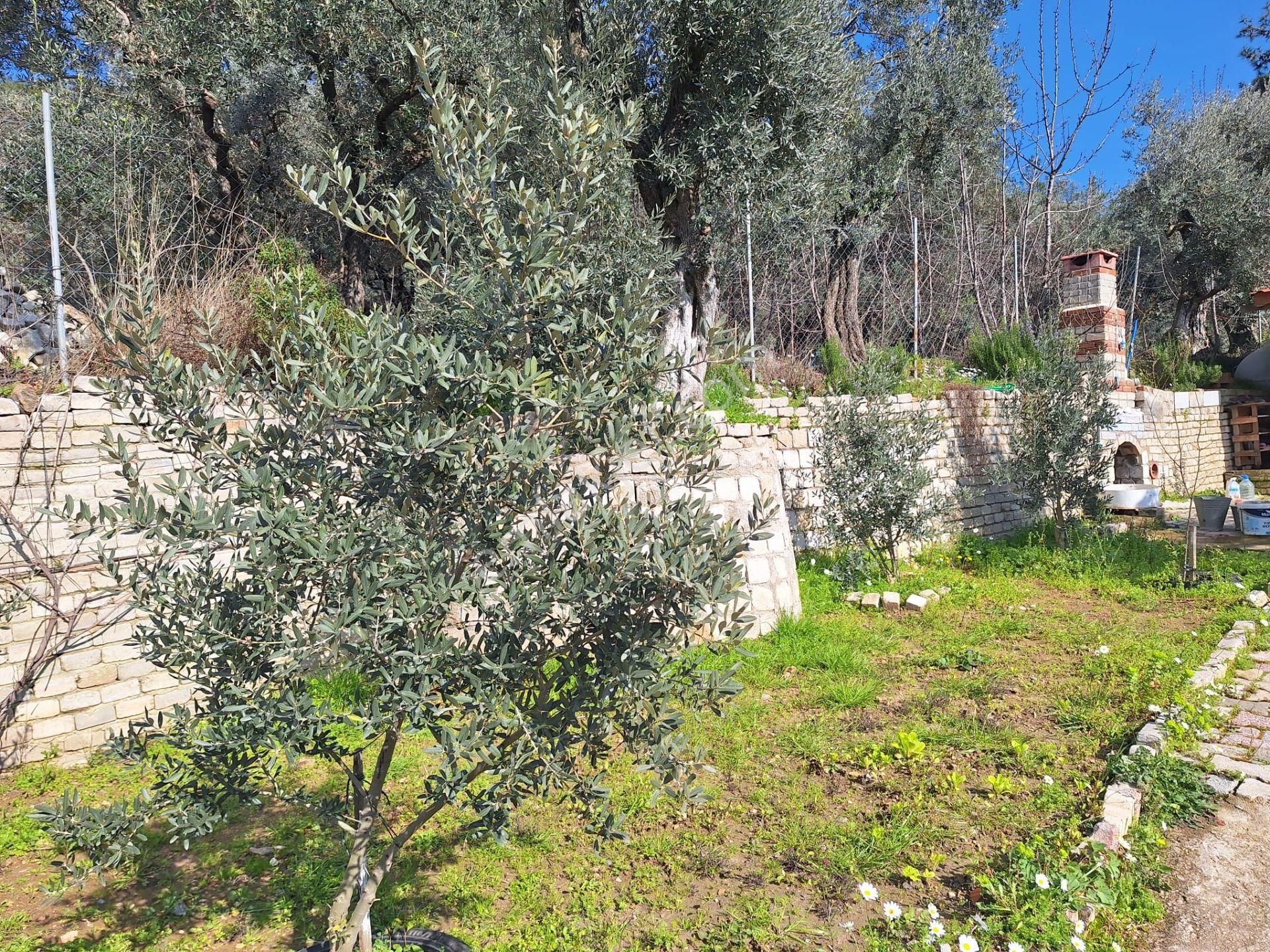 Sahibinden Yolu Elektirigi Olan Tarla - Görsel 12