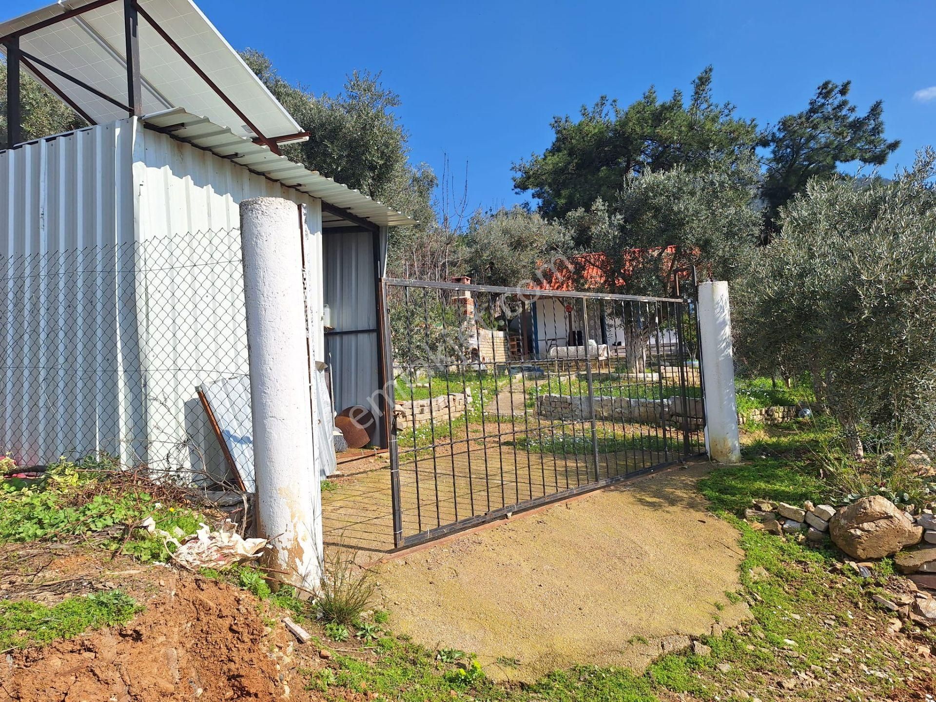 Sahibinden Yolu Elektirigi Olan Tarla - Görsel 10