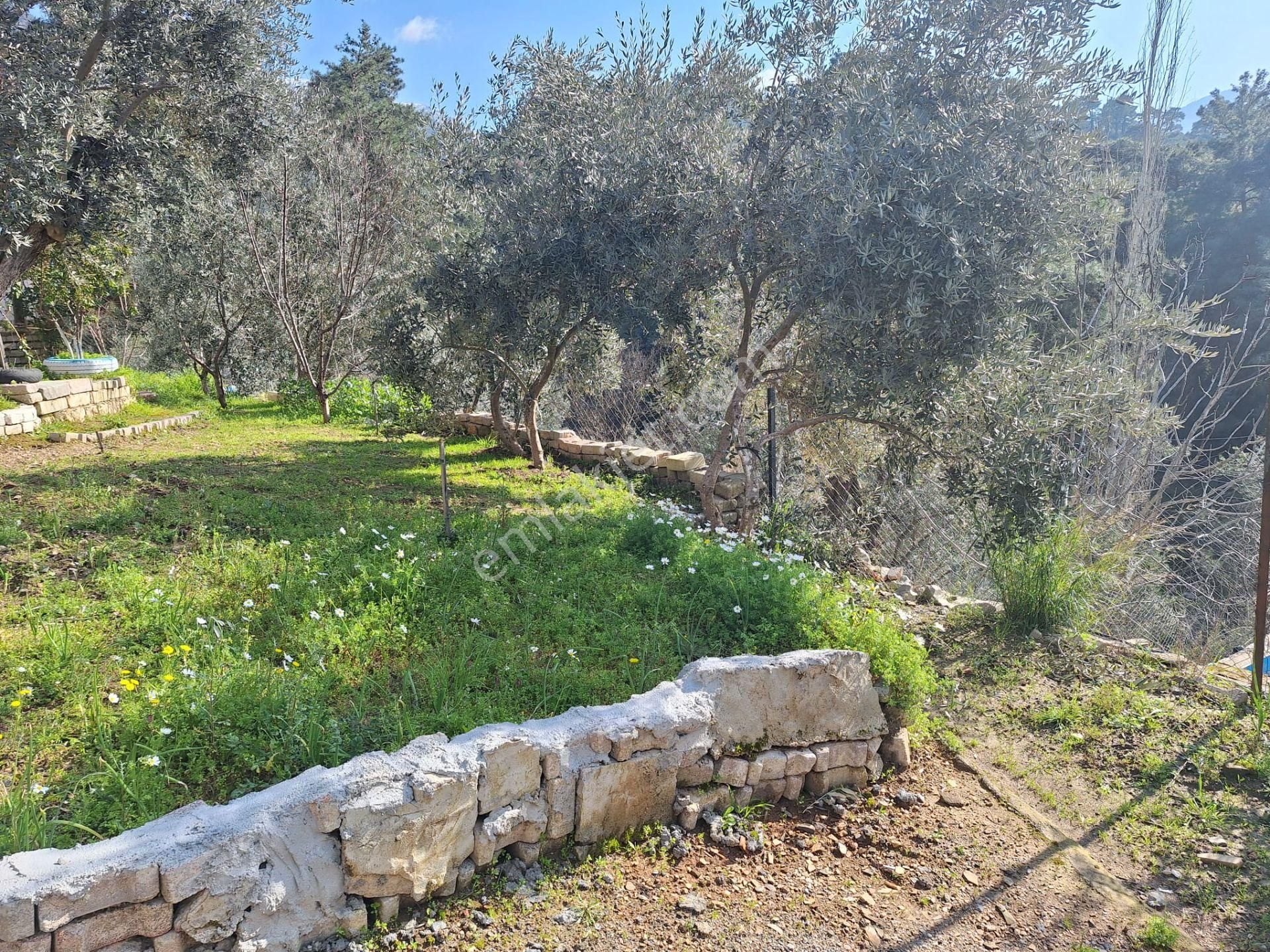 Sahibinden Yolu Elektirigi Olan Tarla - Görsel 13