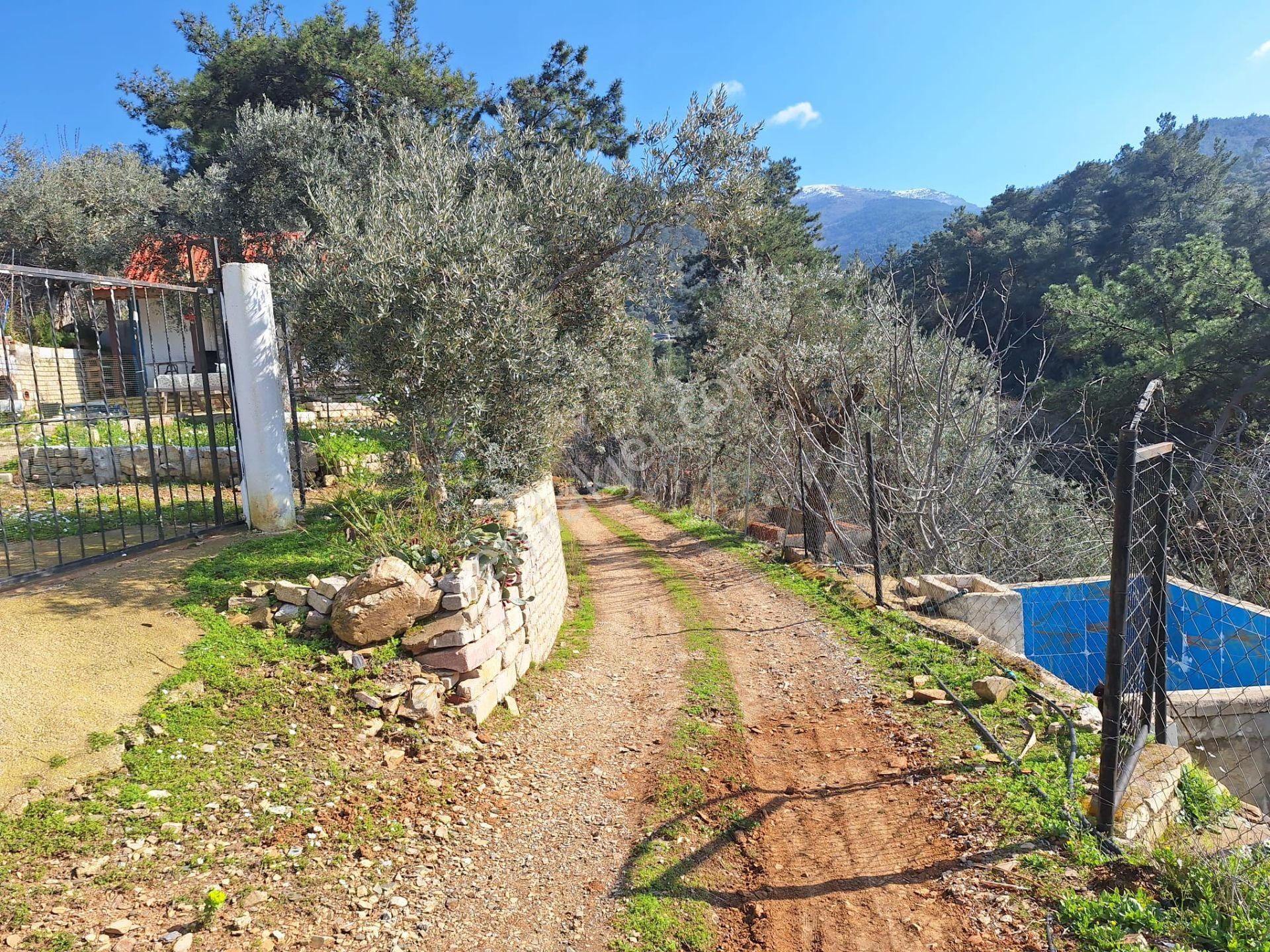 Sahibinden Yolu Elektirigi Olan Tarla - Görsel 11