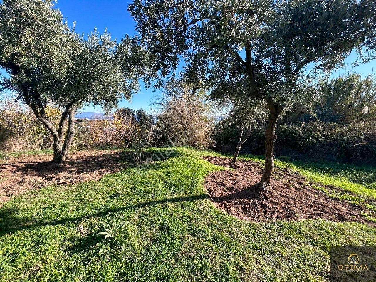 Opima'dan Hamamlı Mahllesinde 432m² Villa İmarlı Satılık Arsa - Görsel 29