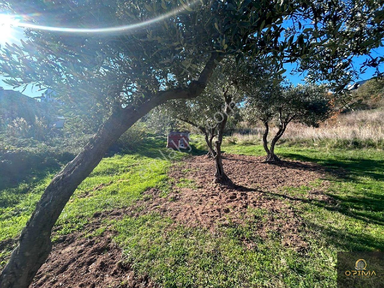 Opima'dan Hamamlı Mahllesinde 432m² Villa İmarlı Satılık Arsa - Görsel 30