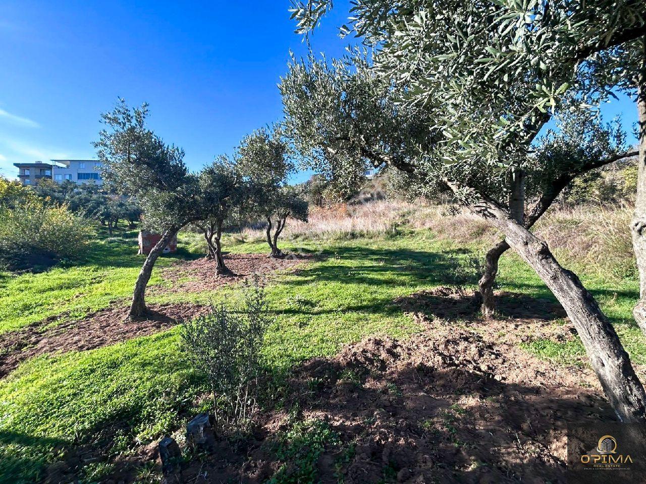 Opima'dan Hamamlı Mahllesinde 432m² Villa İmarlı Satılık Arsa - Görsel 28