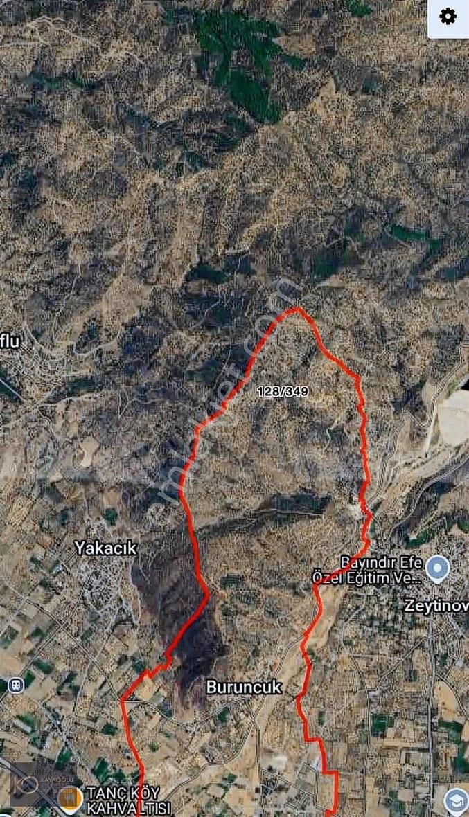 Acil Satılık ! Bayındır Buruncukta Satılık 793 M² Zeytinlik