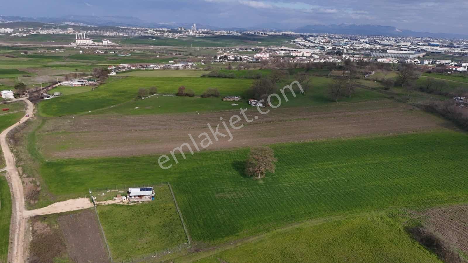 Expert'ten Bursa Nilüfer Özlücede Satılık 9.339 M² Tarla - Görsel 28