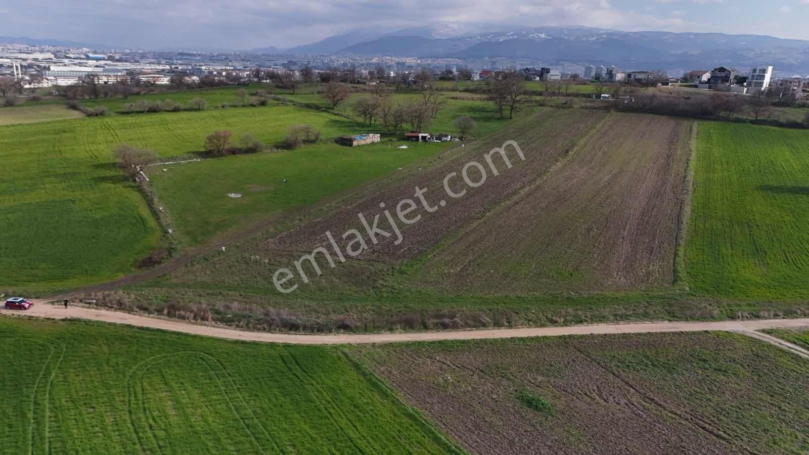 Expert'ten Bursa Nilüfer Özlücede Satılık 9.339 M² Tarla