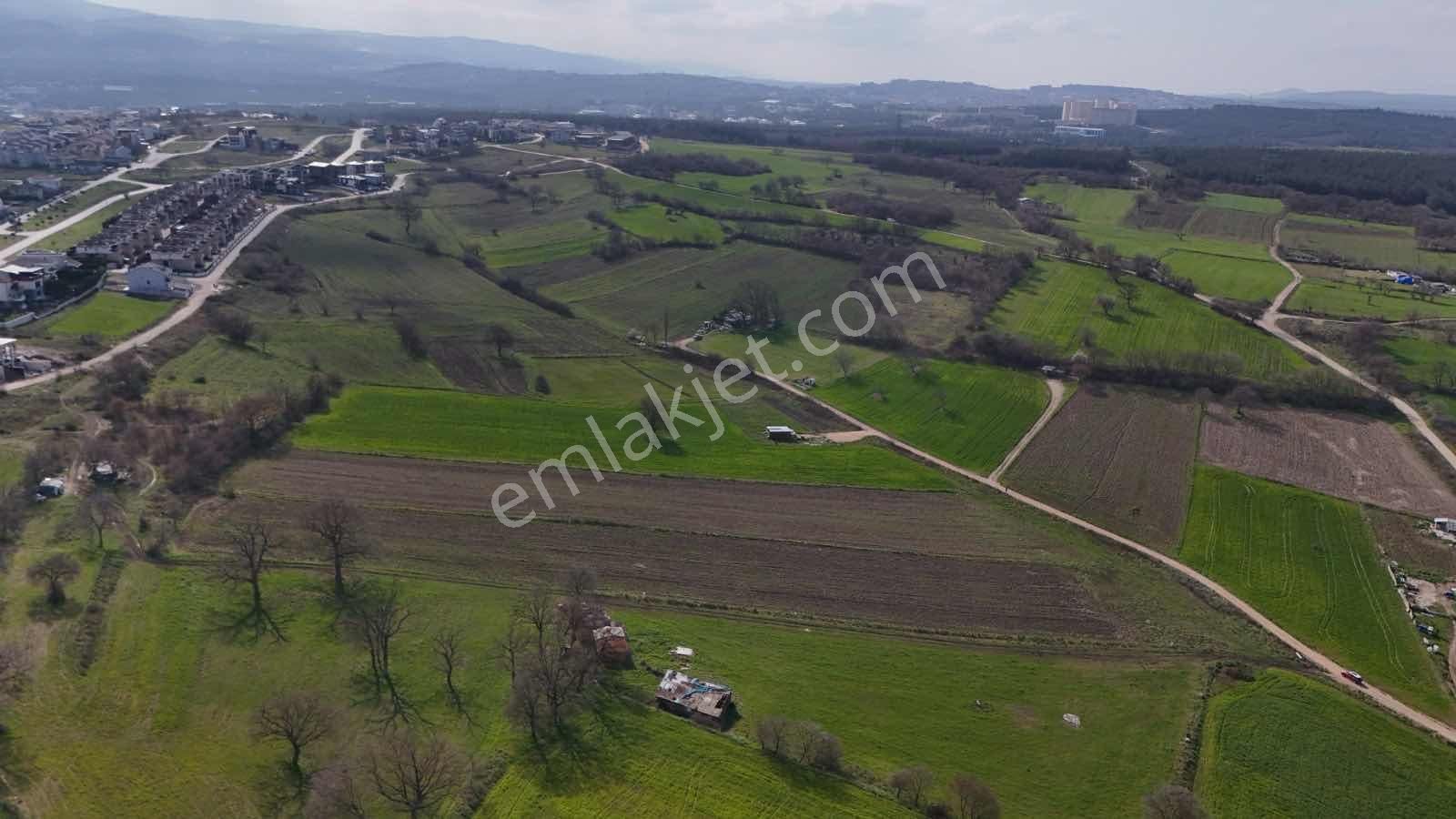 Expert'ten Bursa Nilüfer Özlücede Satılık 9.339 M² Tarla - Görsel 11